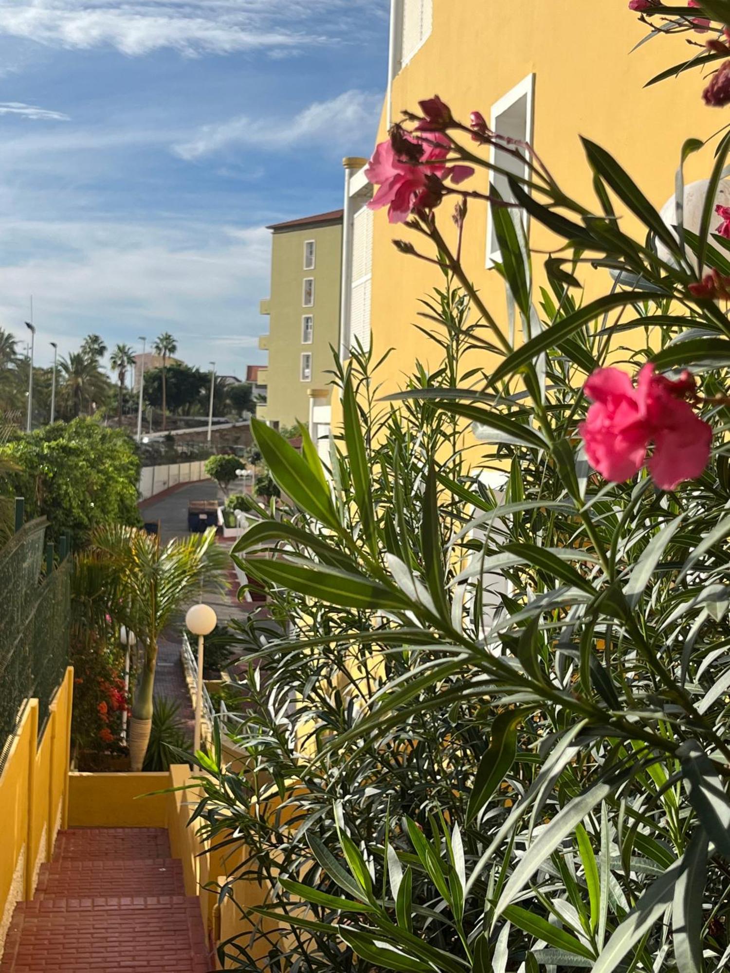 Sunset Star Orlando - Your Home Away From Home Costa Adeje  Eksteriør bilde